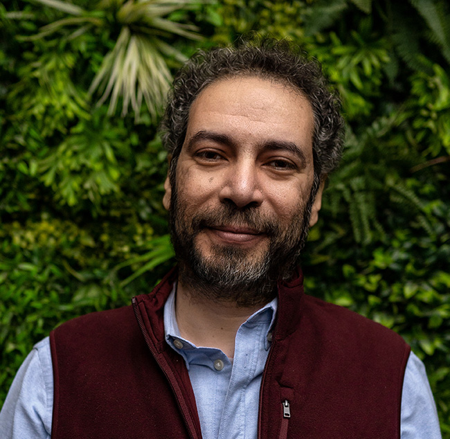 Wael Hamdy Bio Image